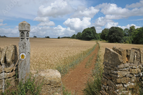 The Cotswold Way photo