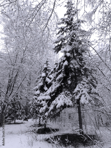 Wallpaper Mural Landscape Torontodigital.ca