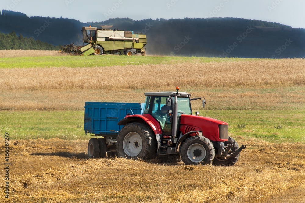 Combine harvester harvest ripe wheat on a farm in Czech Republic. Harvest time. Cultivation of grain on an agricultural farm. Combine harvester harvest ripe wheat on a farm in Czech Republic. Harvest time. Cultivation of grain on an agricultural farm.