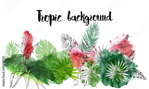 Tropical life