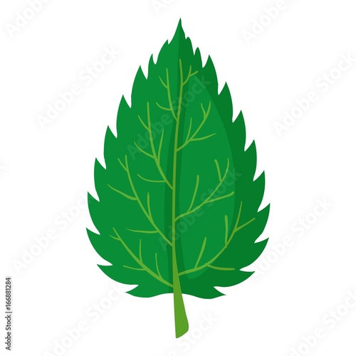 Nettle leaf icon, cartoon style