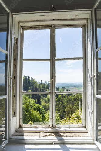 Forest landscape on old wooden window