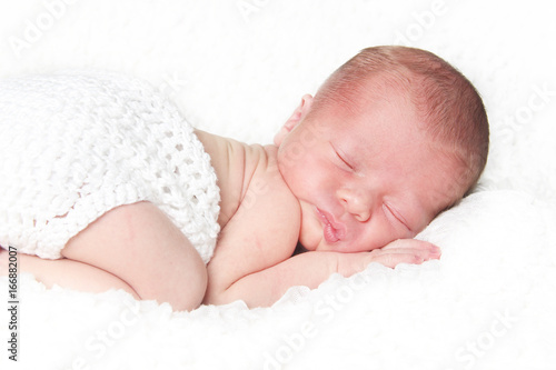 Newborn baby portrait
