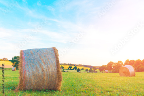 Hay circles on the field