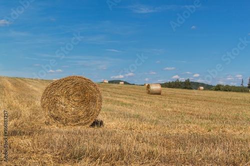 Straw bales on the stubble in the Czech Republic. Agricultural landscape, Harvest time.