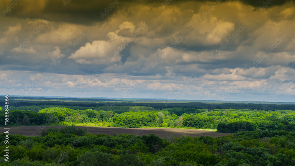 Spring landscape - in May forest and field.