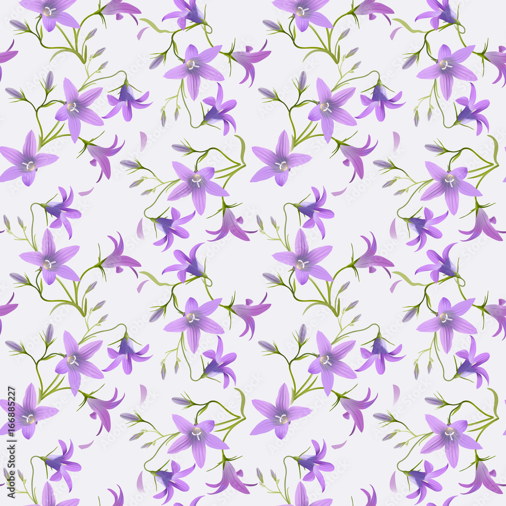 Fototapeta premium Bell flower - Campanula patula. Seamless pattern. Hand drawn digital illustration of purple wildflowers scattered over white background.