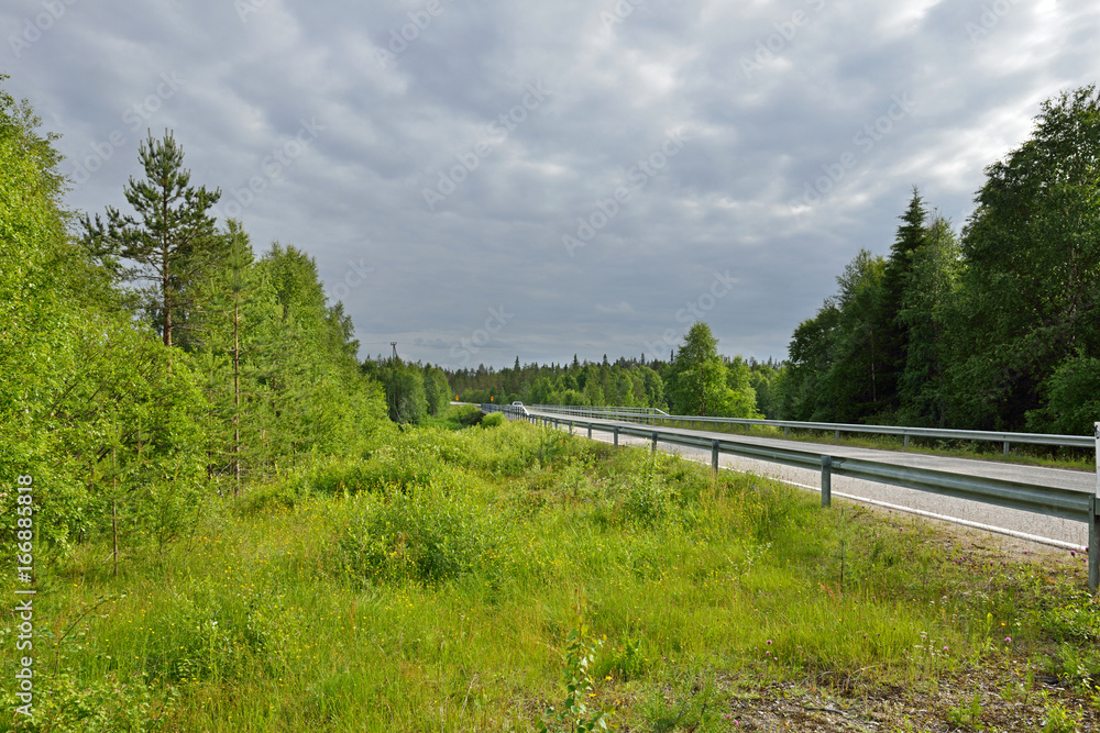  Road goes into distance. Finnish Lapland. 