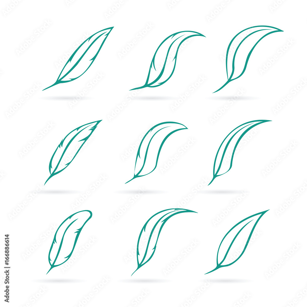 Vector group of feather on white background. Icon. Feathers symbol in vector format. Vector group of feather on white background. Icon. Feathers symbol in vector format.