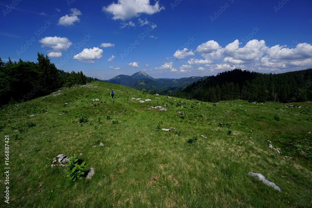 Traumhaft schöne Almwiese in den Bergen & schöner blauer Himmel