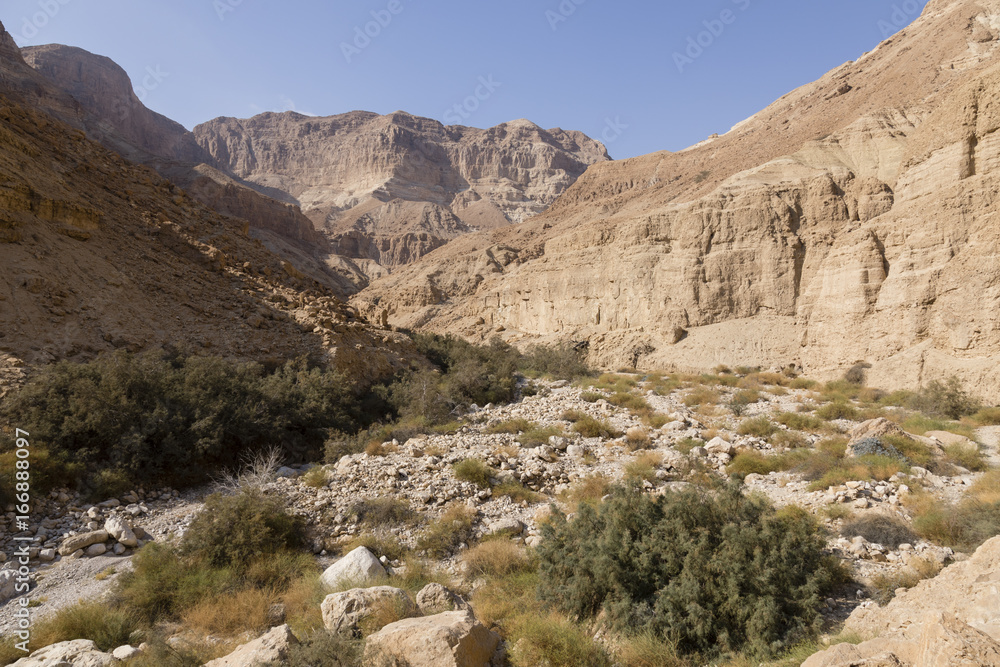 Wadi Arugot River, ein Gedi nature reserve, dead sea, Israel Wadi Arugot River, ein Gedi nature reserve, dead sea, Israel