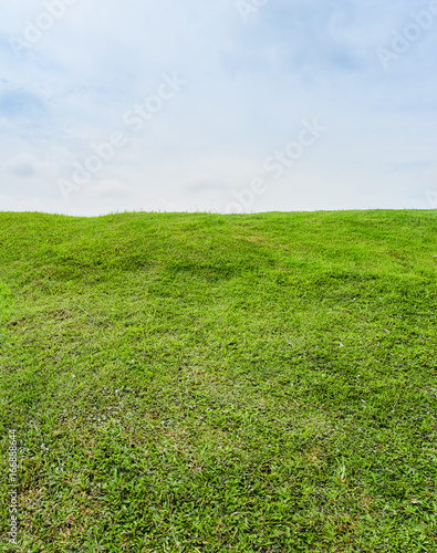 Beautiful Green grass field on small hill and blue sky