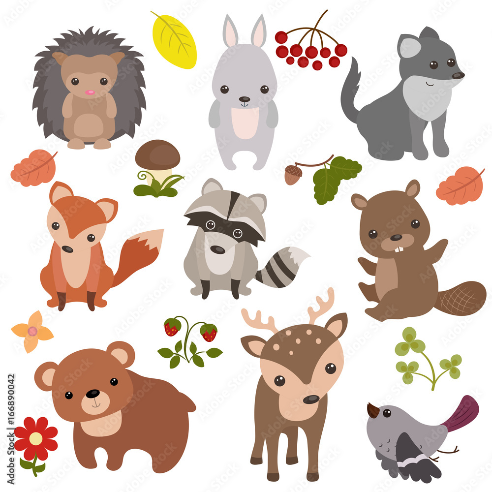 Forest animals. Forest animals.