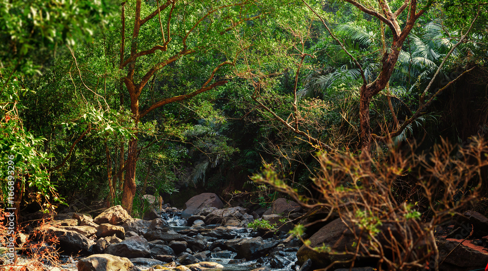 Panorama of the mountain river in the jungle, India, Goa Panorama of the mountain river in the jungle, India, Goa