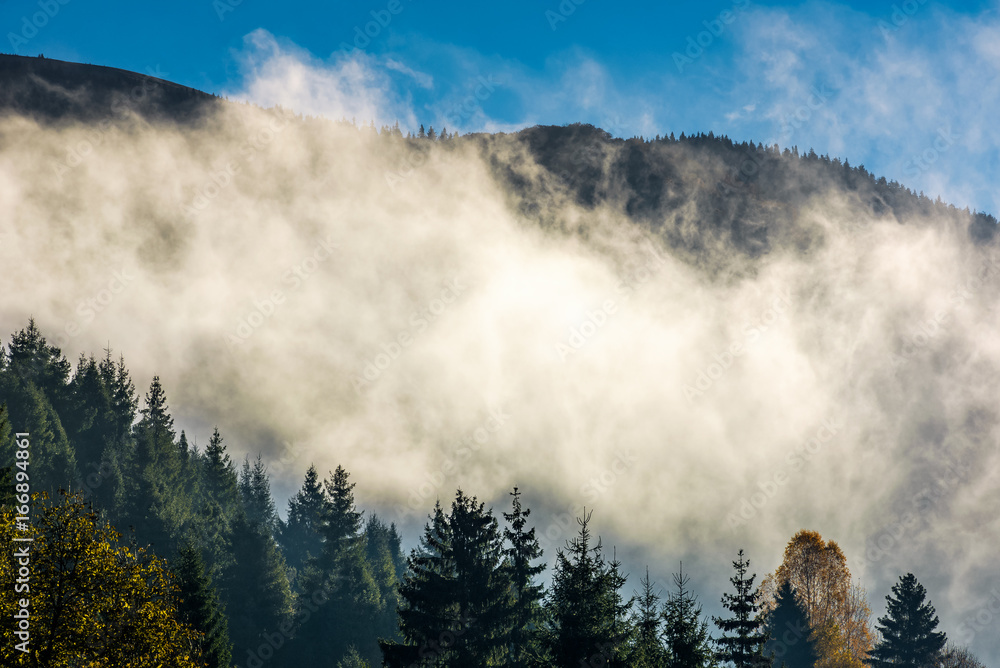 cloud rising up from the forest in autumn morning