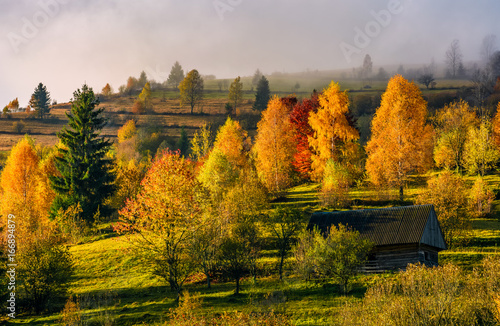 abandoned wooden house in autumn forest © Pellinni