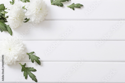 chrysanthemum on white wooden background