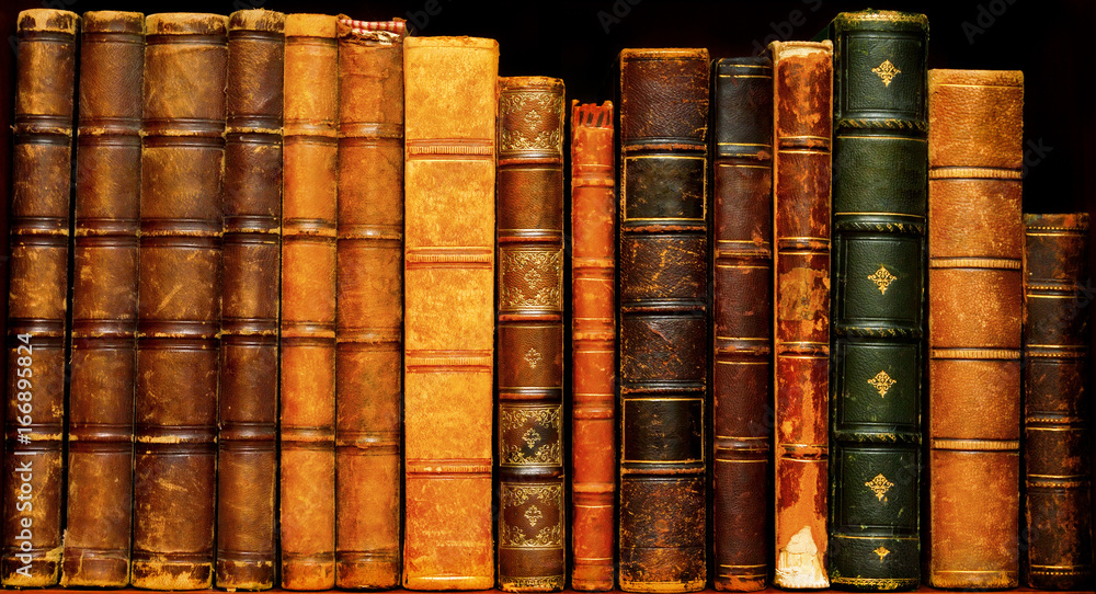 Fototapeta premium Cultural heritage. Ancient libraries 1