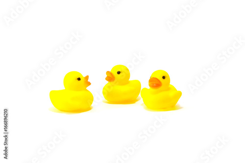 Three rubber duck on white background
