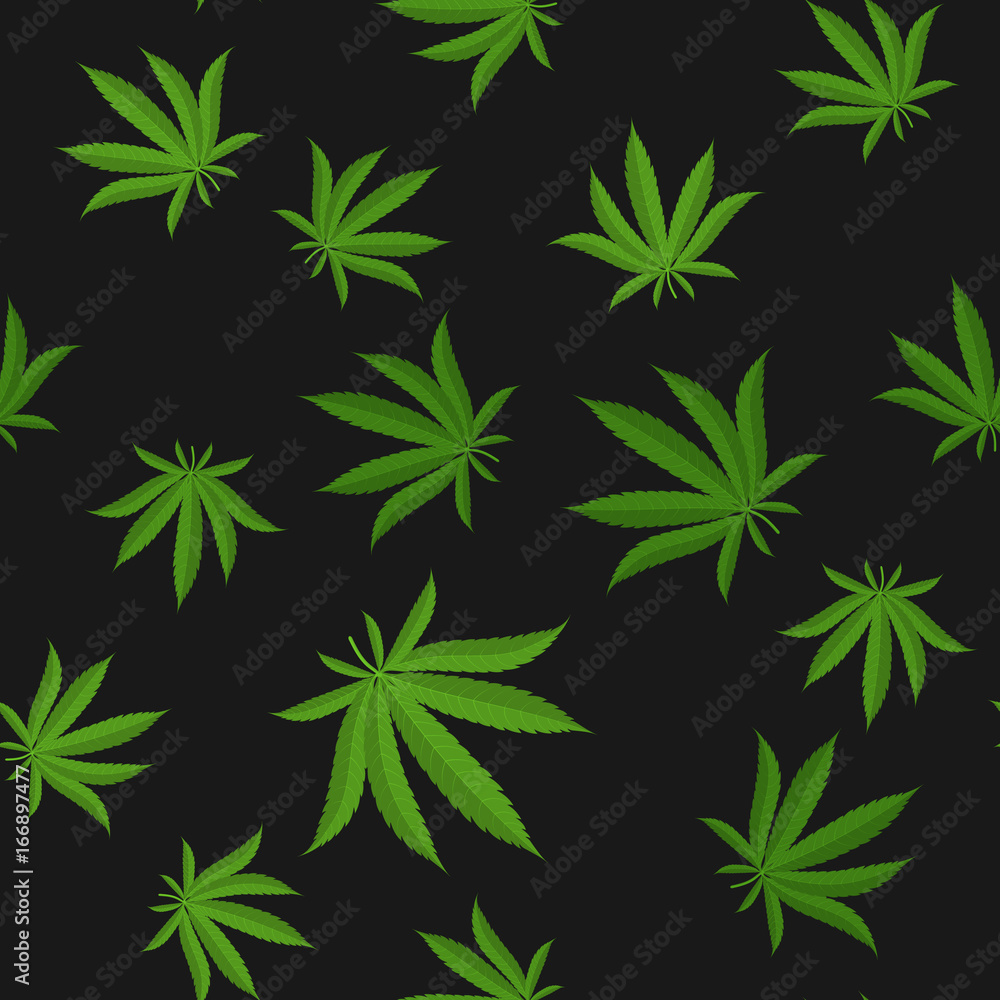 Cannabis leafs - seamless pattern. Vector illustration
