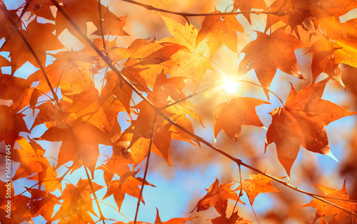 Autumn