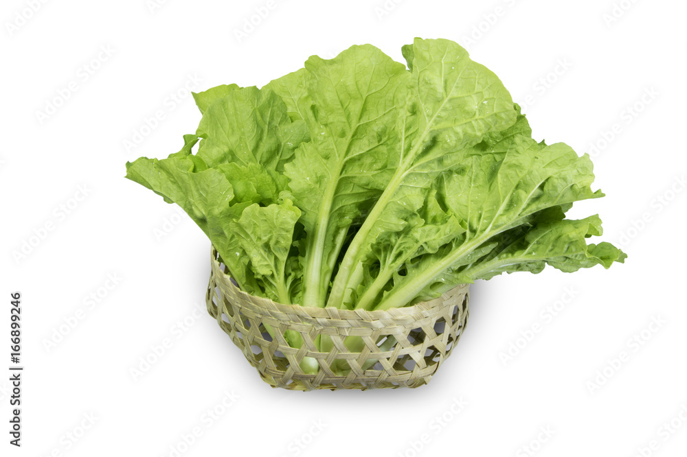 Green chinese green cabbage On a white background Green chinese green cabbage On a white background