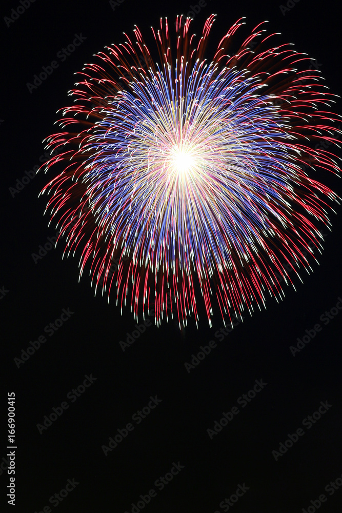 古河花火大会尺玉stock Photo Adobe Stock