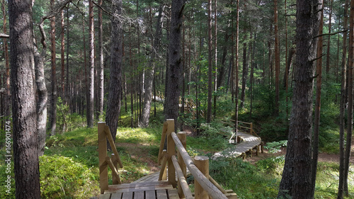 Ragakapa Nature Park in Jurmala, Latvia.