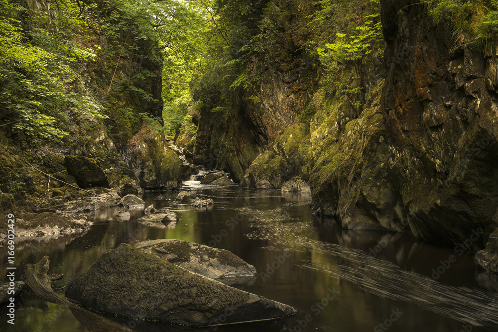 Fototapeta premium Stunning landscape panorama with river flowing through deep sided gorge with vibrant green foliage