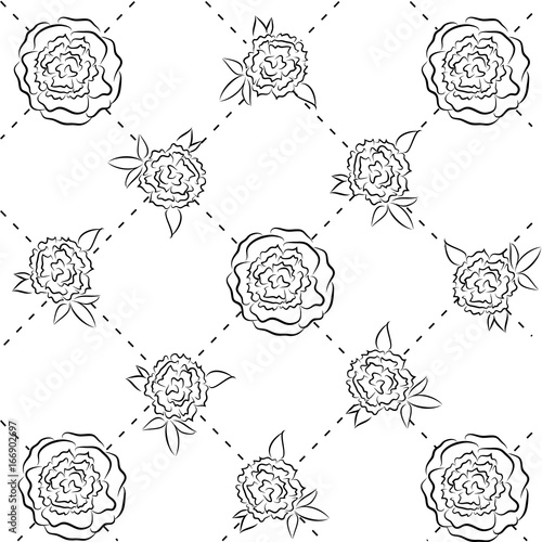 peony vector contour pattern
