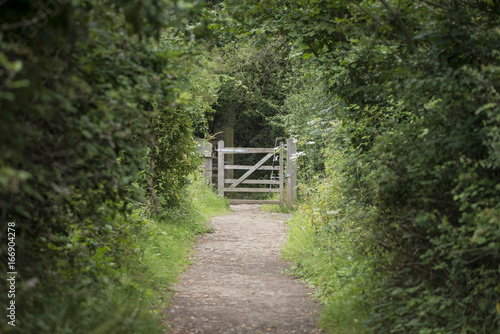 Shallow depth of field landscape image of tree covered path leading to distant gate