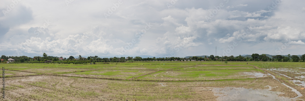 Panorama view of Field after harvest.