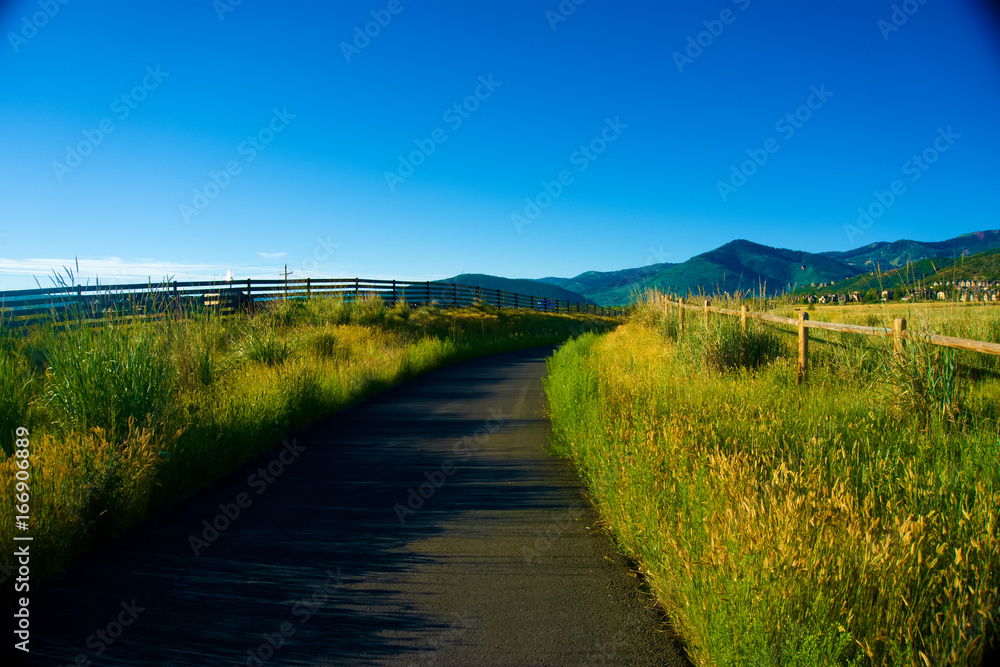 Long field path