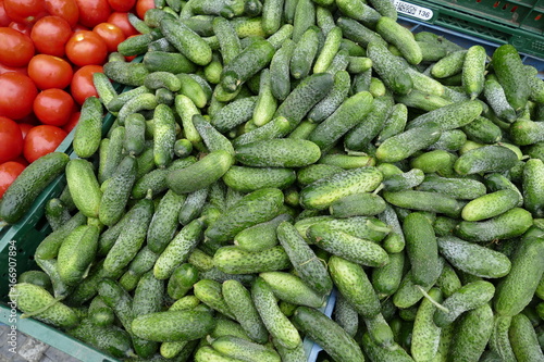 fresh tometoes and cucumbers at the market