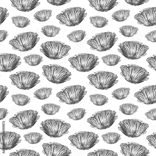 Seamless pattern with poppy flower isolated on white background drawn by hand. Graphic drawing, pointillism technique. Botanical natural collection. Black and white floral illustration