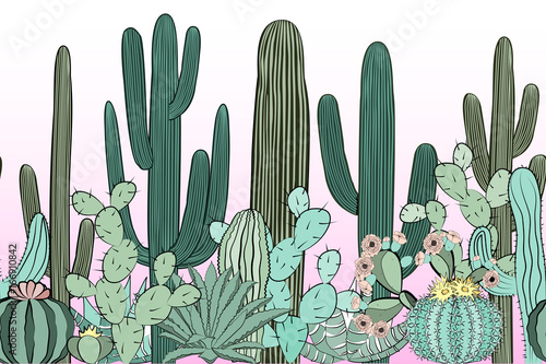 Seamless pattern with cactus. Wild cactus forest