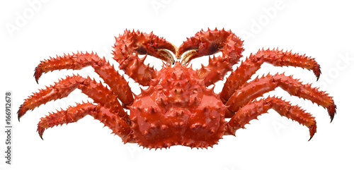 Red brown king crab isolated on white background