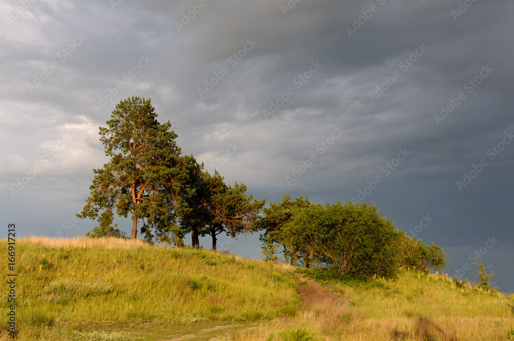 Obraz premium Rural landscape with river, field, trees after a thunderstorm. At sunset. Ukraine