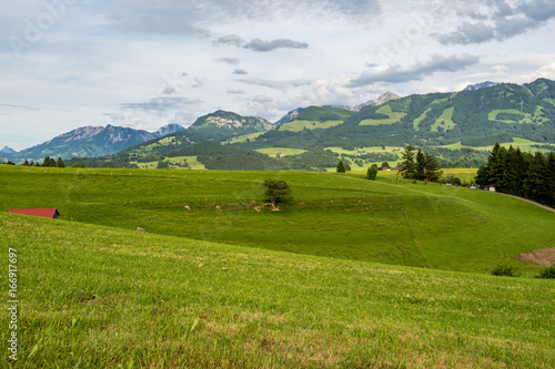 Bayern - Allgäu - Schweineberg bei Ofterschwang