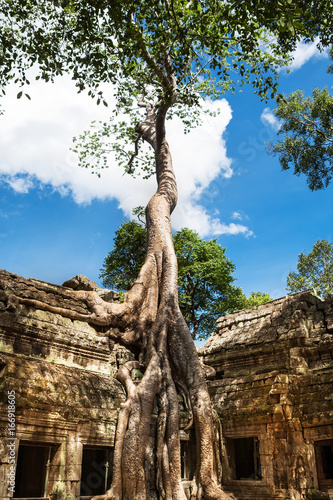 Ta Phrom bei Angkor Wat, Kambodscha