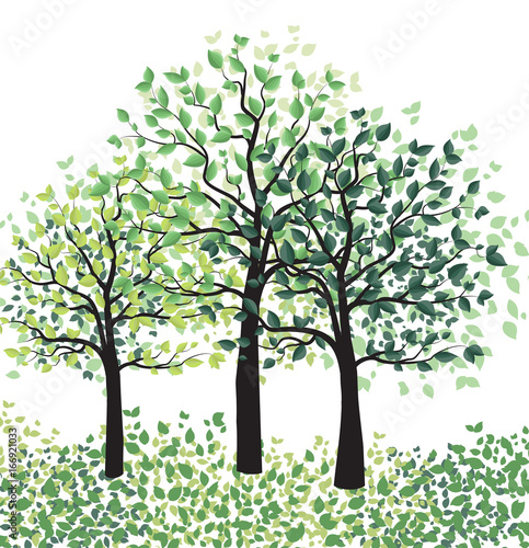 Green trees with leaves