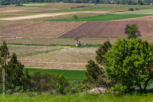 a view of green fields of crops and vineyards on a sunny summer day in French countryside