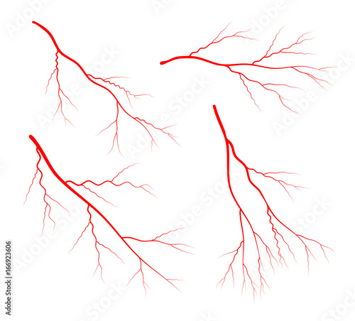 vein blood set vector symbol icon design. Beautiful illustration isolated on white background