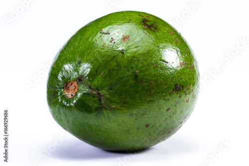 large green avocado