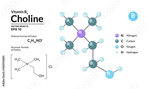 Structural chemical molecular formula and model of choline. Atoms are represented as spheres with color coding isolated on background. 2d or 3d visualization and skeletal formula. Vector illustration