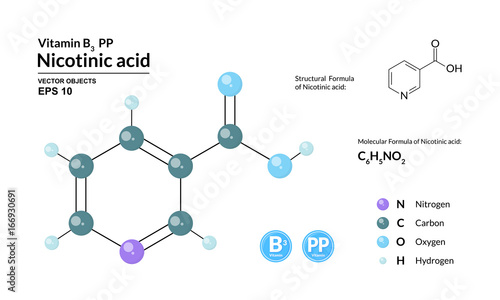 Structural chemical molecular formula and model of nicotinic acid. Atoms are represented as spheres with color coding isolated on background. 2d or 3d visualization and skeletal formula. Vector