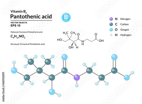 Structural chemical molecular formula and model of pantothenic acid. Atoms are represented as spheres with color coding isolated on background. 2d or 3d visualization and skeletal formula. Vector