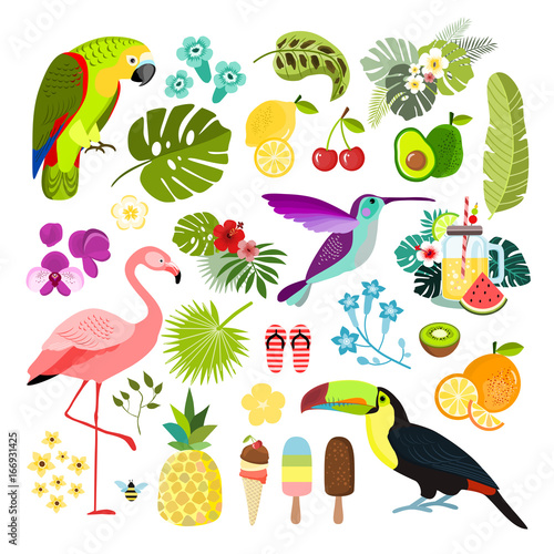 Summer tropical graphic elements. Parrot, toucan and flamingo bird. Jungle floral illustrations, palm leaves, hibiscus, flowers, tropical fruits and plants. Isolated vector illustration.