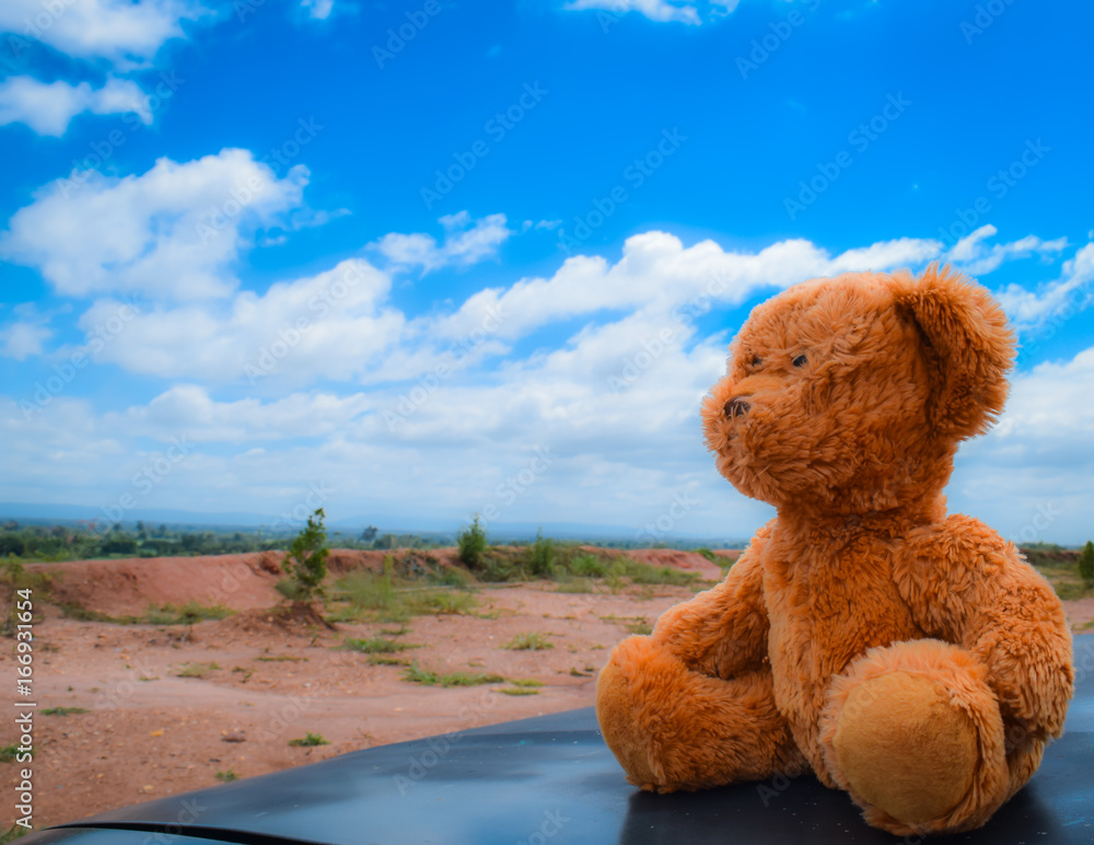Sky teddy bear sales