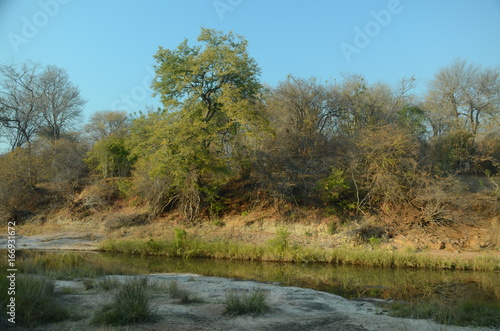 The African landscape. Zimbabwe.